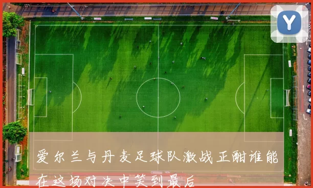爱尔兰与丹麦足球队激战正酣谁能在这场对决中笑到最后