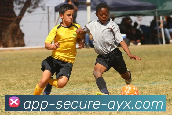 App Interface Preview